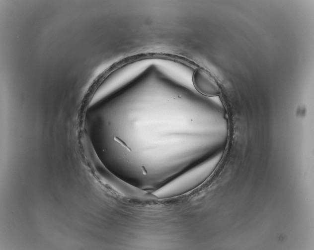 X0000091451264200709061727