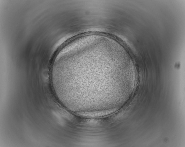 X0000091451266200709061727