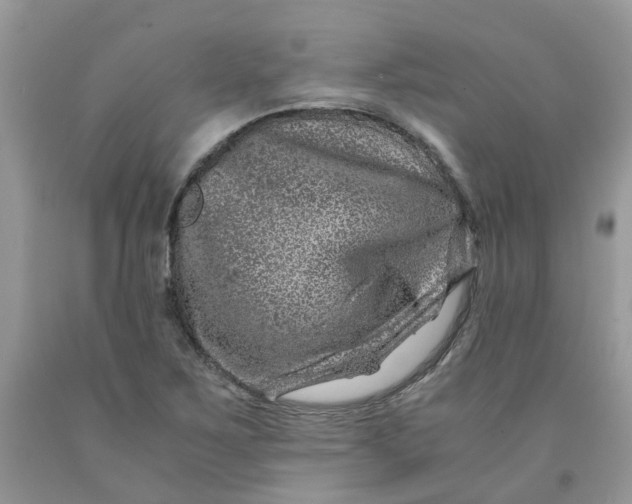 X0000091451267200709061727