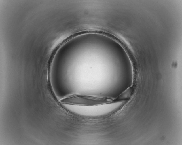 X0000091451269200709061727