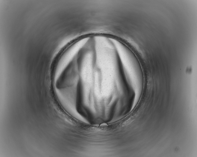 X0000091451270200709061727