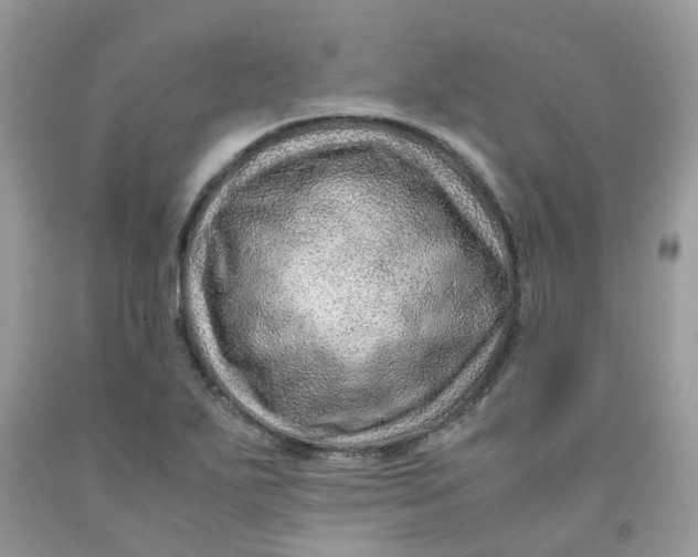 X0000091451271200709061727