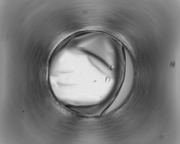 X0000091451276200709061727