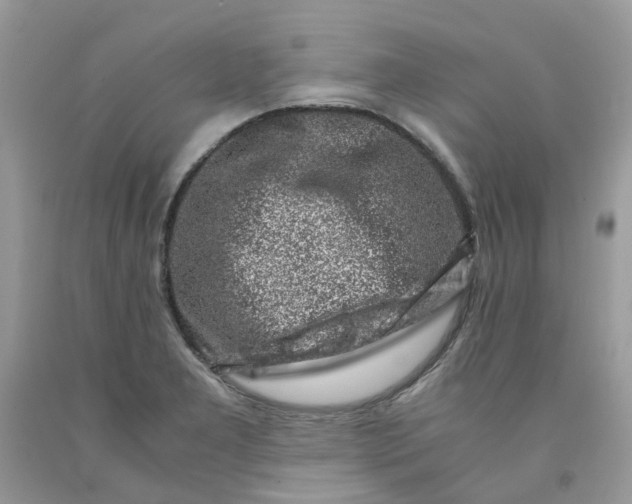 X0000091451277200709061727