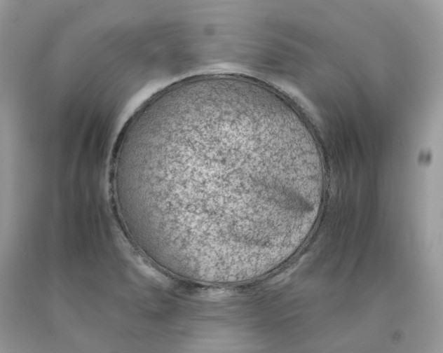 X0000091451278200709061727