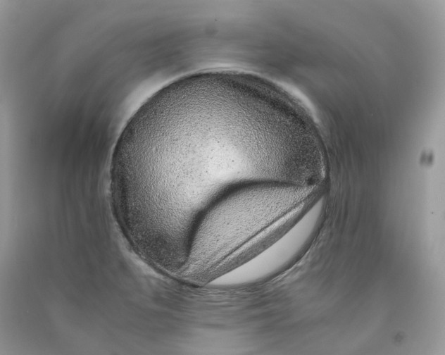 X0000091451279200709061727