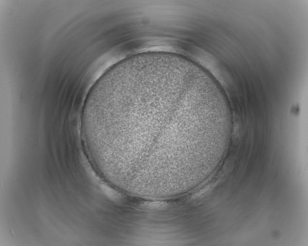 X0000091451282200709061727