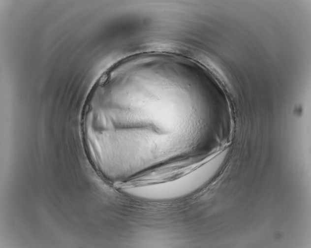 X0000091451283200709061727