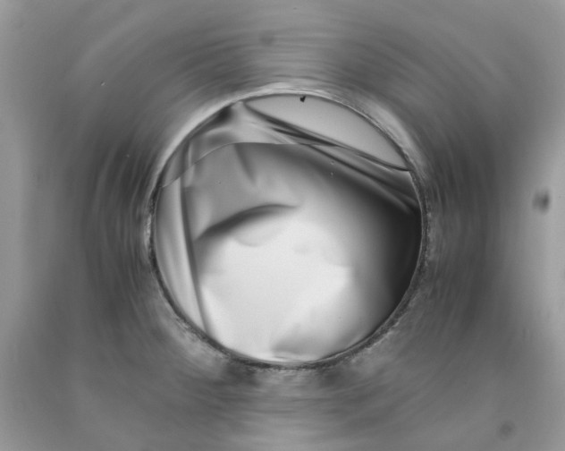 X0000091451284200709061727