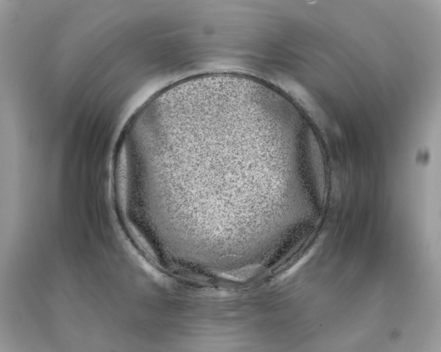 X0000091451286200709061727