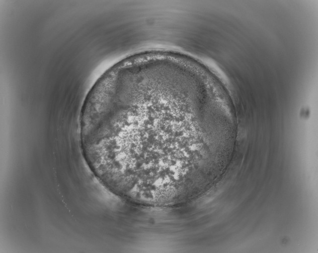 X0000091451287200709061727