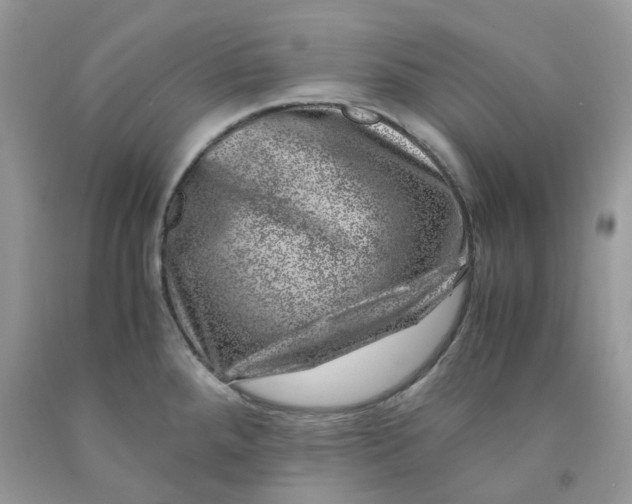 X0000091451288200709061727