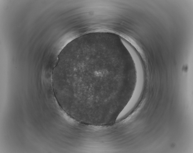 X0000091451289200709061727