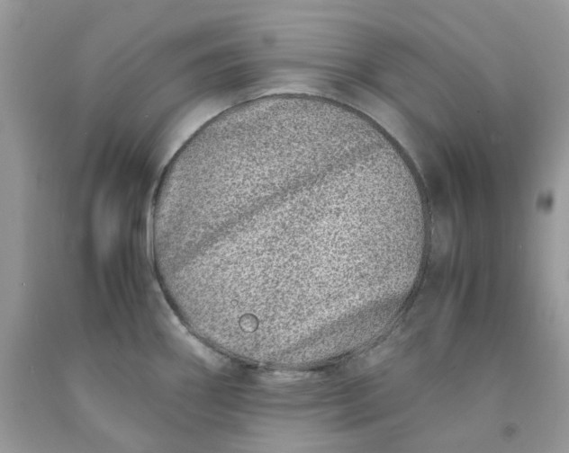 X0000091451290200709061727