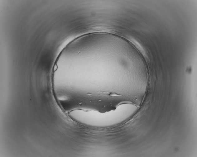 X0000091451291200709061727