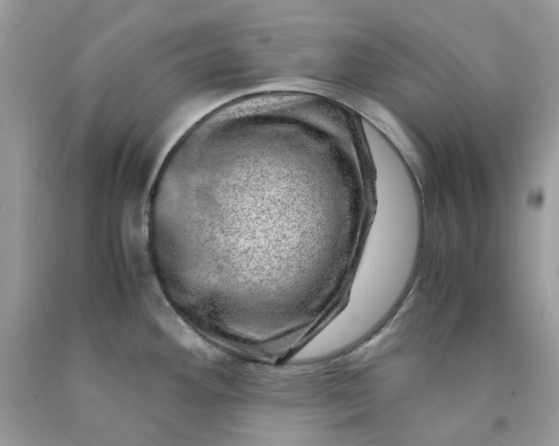 X0000091451292200709061727