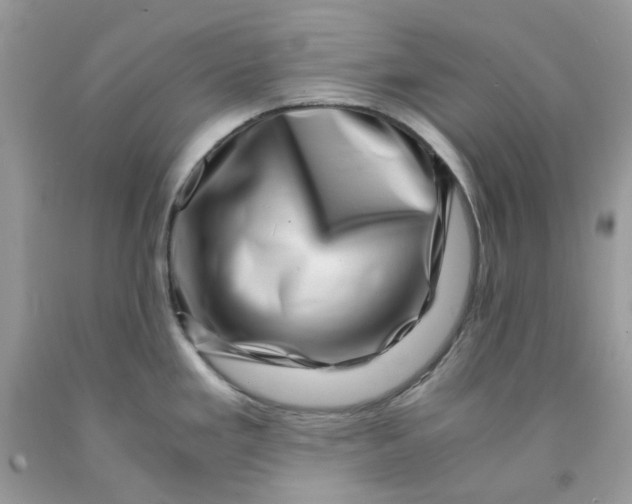 X0000091451293200709061727