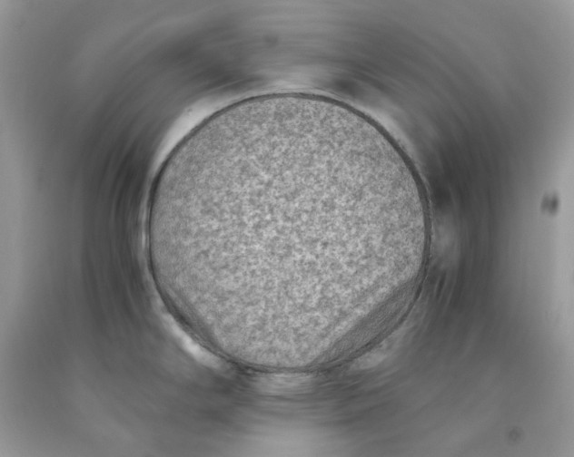 X0000091451294200709061727