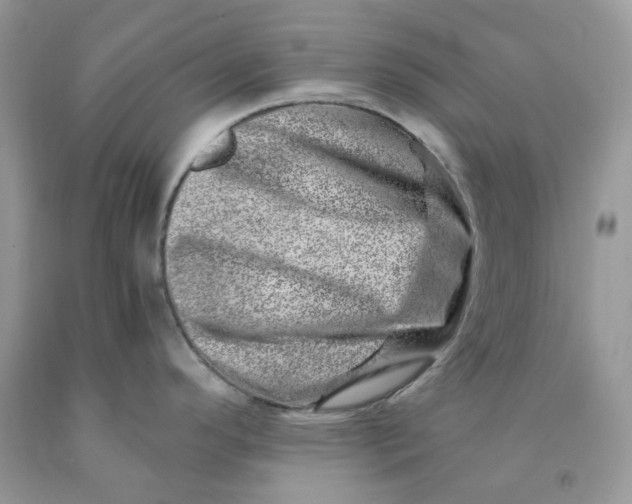 X0000091451296200709061727