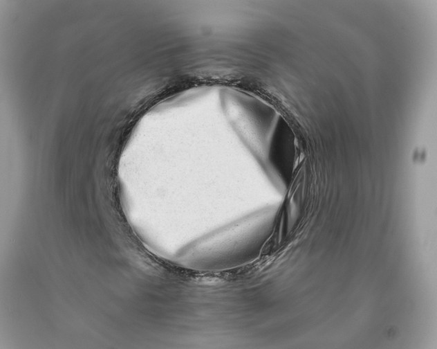 X0000091451297200709061726