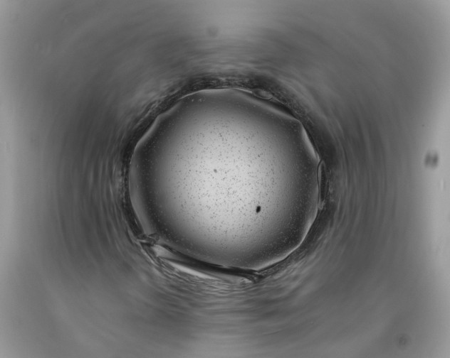 X0000091451298200709061726