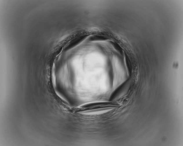 X0000091451301200709061726