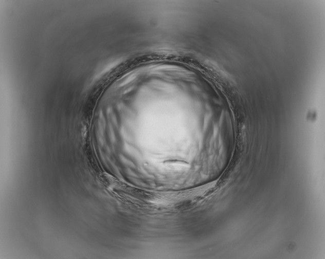 X0000091451302200709061726