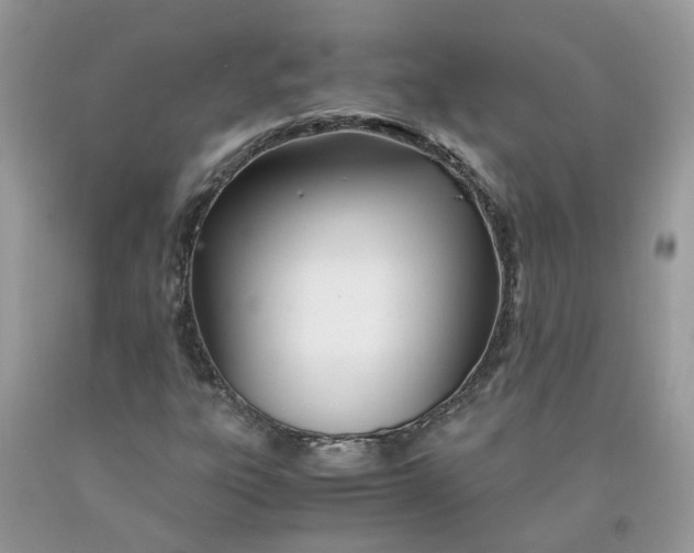 X0000091451303200709061726