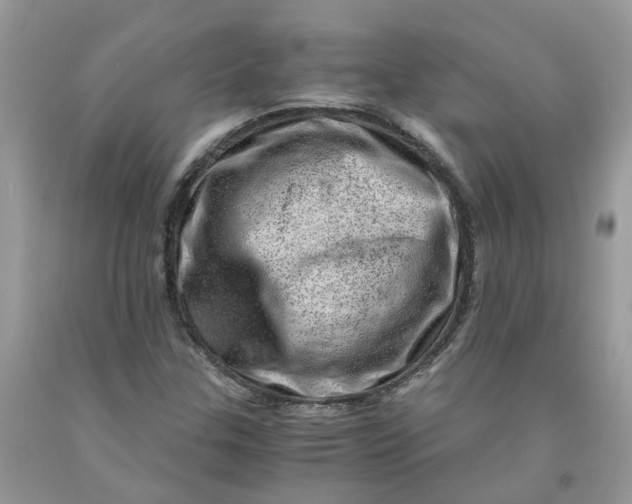 X0000091451307200709061726