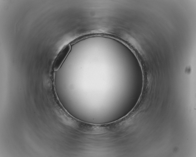 X0000091451308200709061726