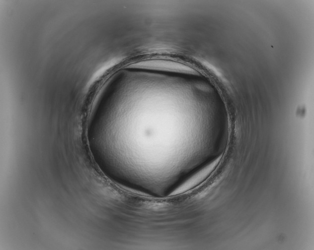 X0000091451309200709061726