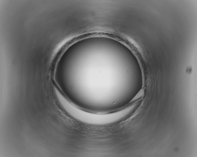 X0000091451310200709061726