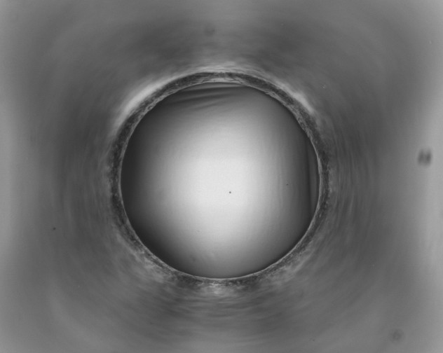 X0000091451311200709061726