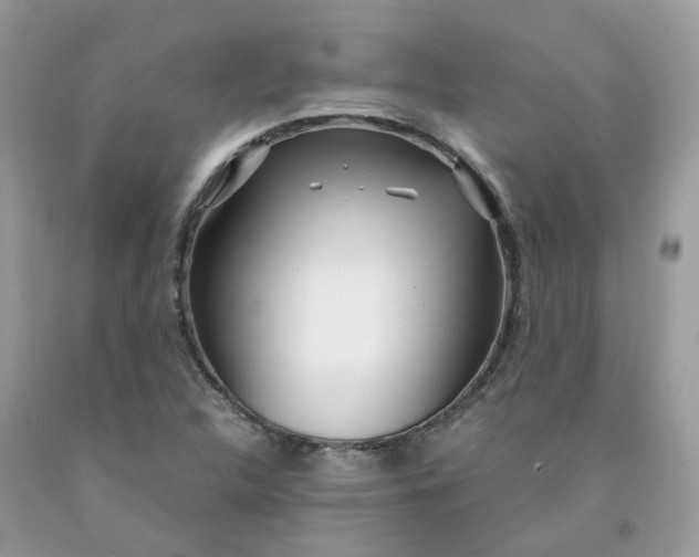 X0000091451312200709061726