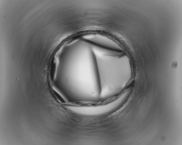 X0000091451313200709061726