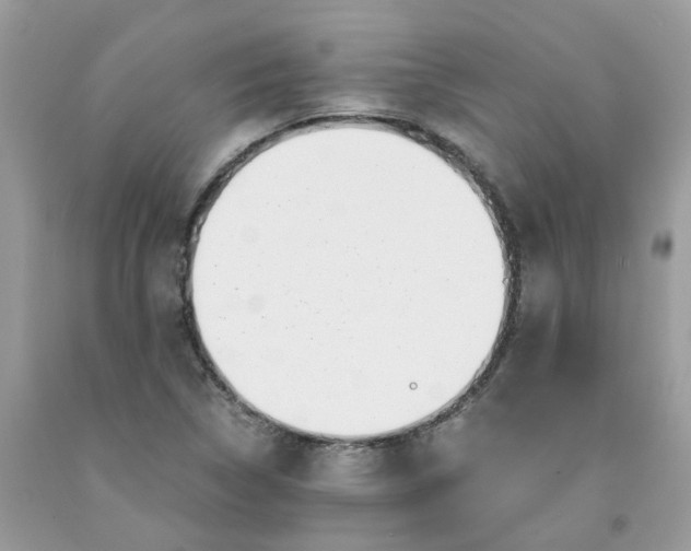 X0000091451314200709061726