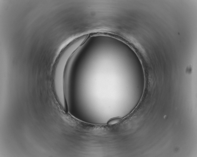 X0000091451316200709061726