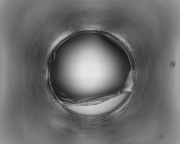 X0000091451317200709061726