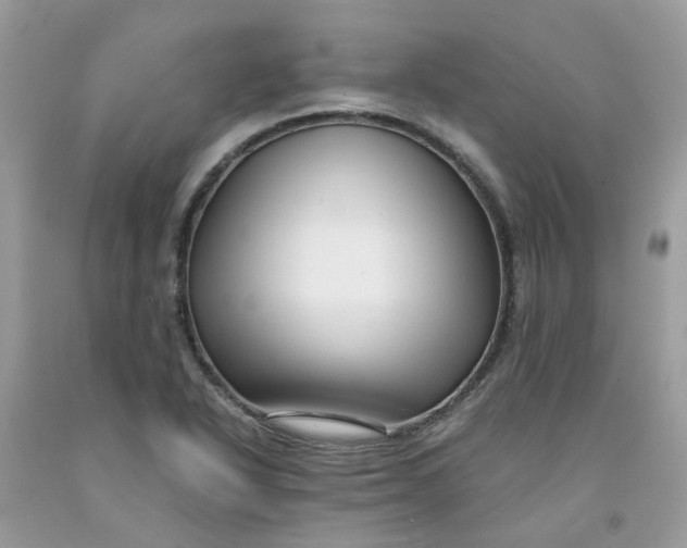 X0000091451318200709061726