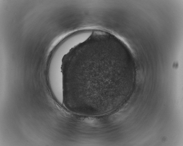 X0000091451319200709061726