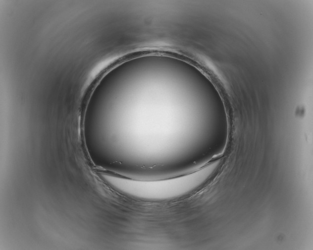 X0000091451320200709061726