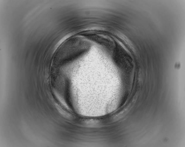 X0000091451321200709061726