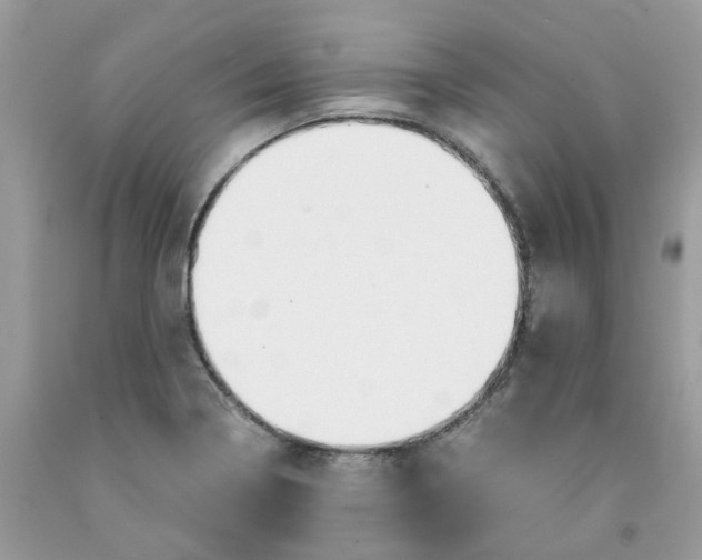 X0000091451322200709061726