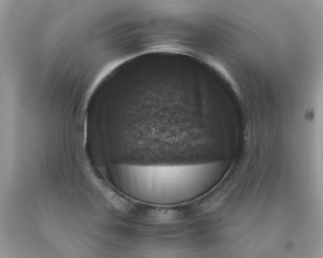 X0000091451323200709061726