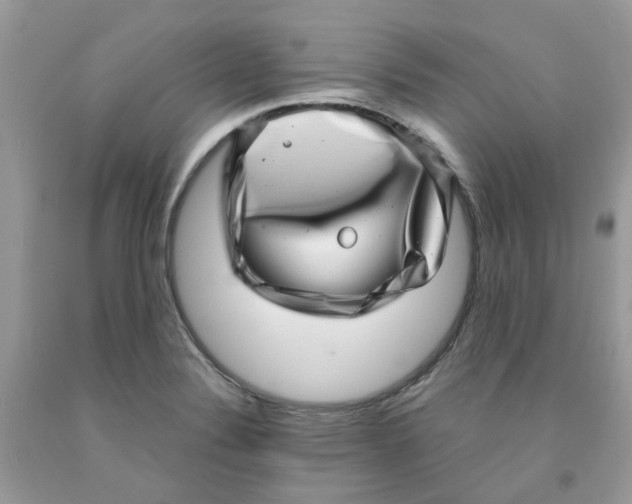 X0000091451324200709061726