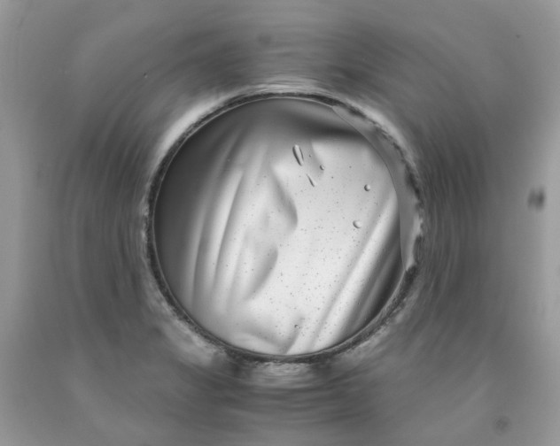 X0000091451325200709061726