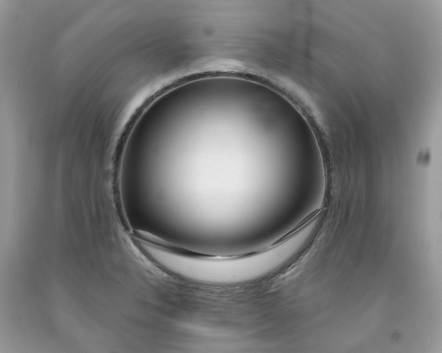 X0000091451326200709061726