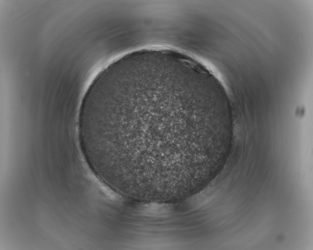 X0000091451327200709061726