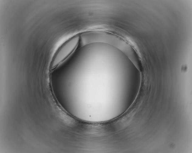 X0000091451328200709061726