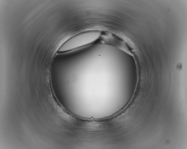 X0000091451329200709061726